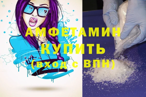 спиды Инсар