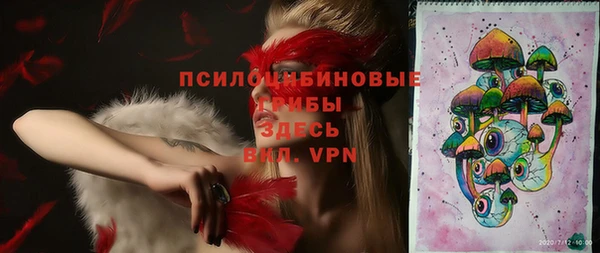 соль ск Иннополис