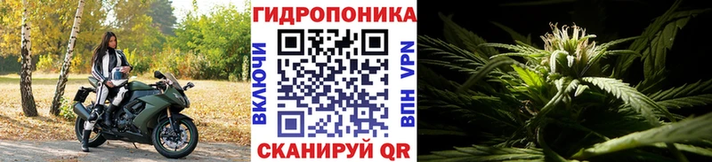 Канабис SATIVA & INDICA Городец